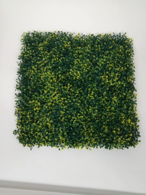 Pastos Sintéticos ERBETTA®, Buxus (buxus sempervirens) Pieza de 50x50cm - Image 4