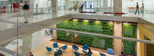 Techo verde sintético ERBETTA® con hojas de azalea de 50x50 cm de Malla.mx, solución estética y duradera para interiores y exteriores en México.