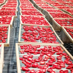 Mallas Para Camas De Secado De Frutos, Semillas, Granos