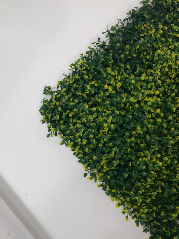 Muro Verde Artificial Exterior, ERBETTA® Buxus, Pieza de 50x50cm - Image 2