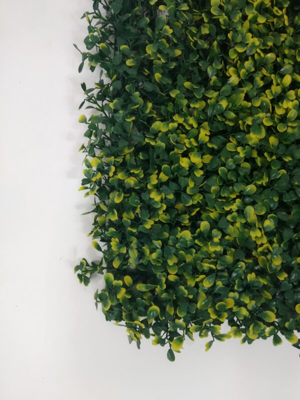 Muro Verde Artificial Exterior, ERBETTA® Buxus, Pieza de 50x50cm - Image 3