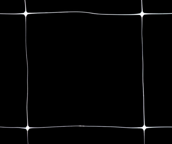 Entutorar HORTOFLOR® Blanca 2x50m - Image 2