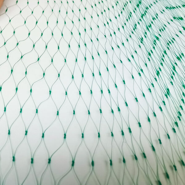 Malla antipájaros verde con pequeños nudos, utilizada para la protección de higos, extendida sobre una superficie blanca.