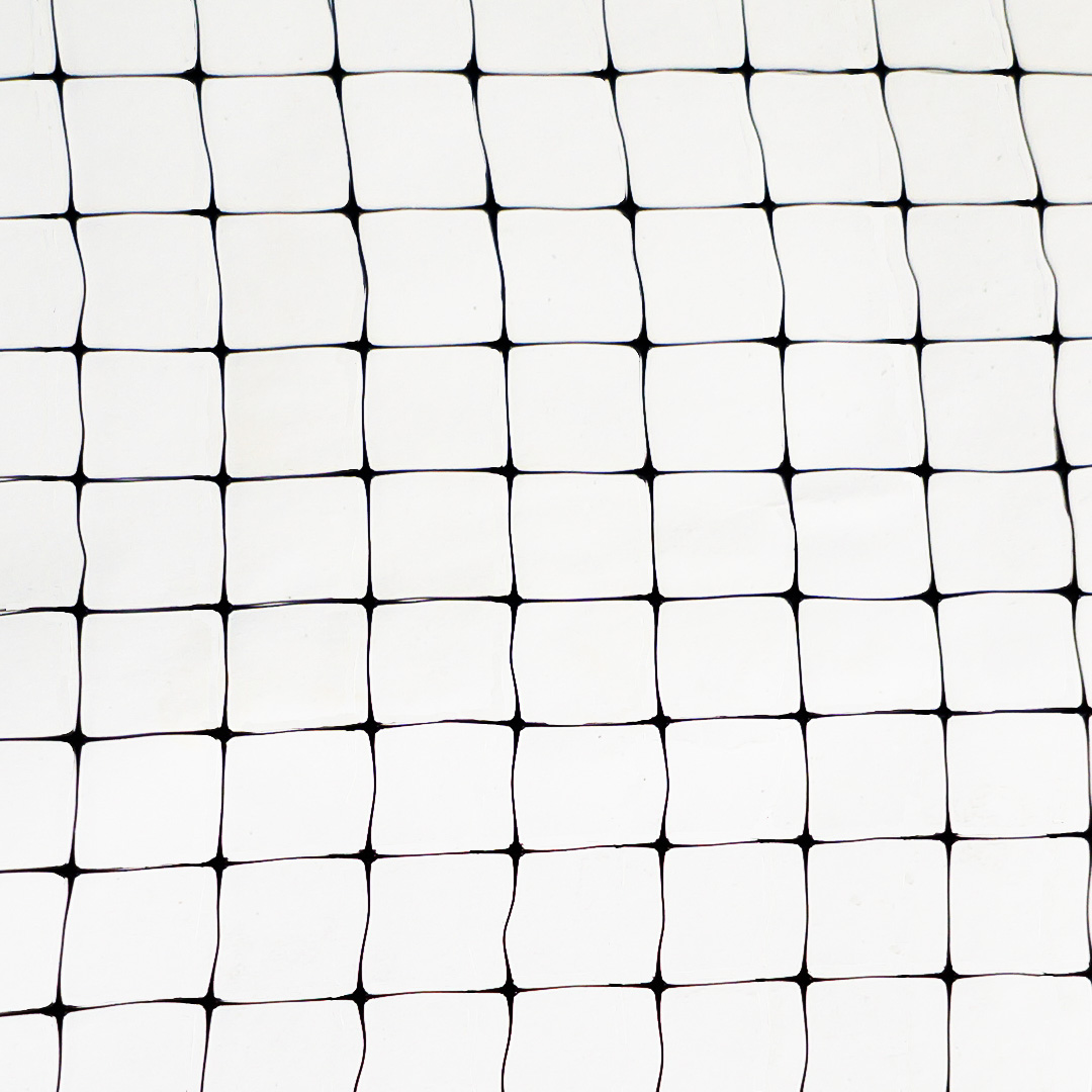 cuidado para arboles