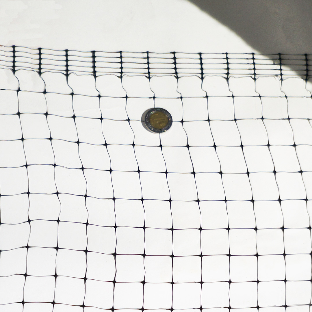 malla antipajaros cuida tus cultivos